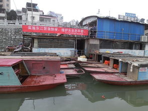 龍川縣畜牧獸醫漁業局 推動畜牧漁業飼料銷售，助力現代農牧業發展