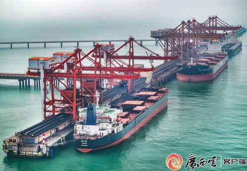 廣西鋼鐵集團(tuán) 以高品質(zhì)產(chǎn)品通過多項(xiàng)國際認(rèn)證，助力畜牧漁業(yè)飼料銷售