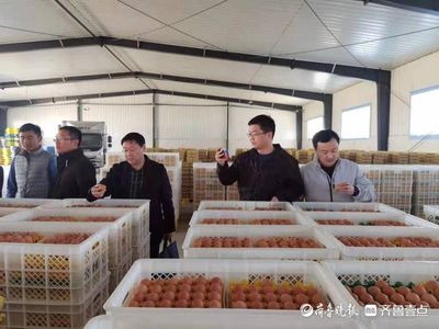 逯巖秘書長深入莘縣調(diào)研 畜牧漁業(yè)飼料銷售現(xiàn)狀與發(fā)展機(jī)遇