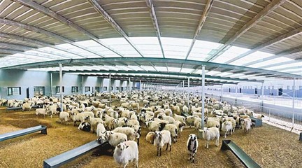 西藏加快建立以產(chǎn)業(yè)扶貧為中心的長效增收機(jī)制——畜牧漁業(yè)飼料銷售的轉(zhuǎn)型與升級(jí)